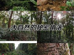 -广州市帽峰山景区