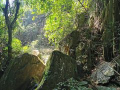 -南丹山森林王国