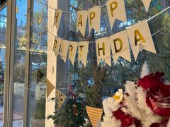 -春树下·树屋花房西餐厅(罍街AS1980店)