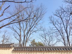 -景福宫