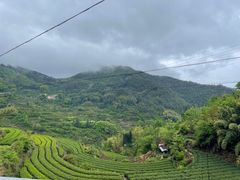 -杨家堂村