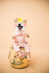 -童年映像精致儿童摄影（糖果baby）(石路店)