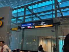 -新加坡航空公司(ION)