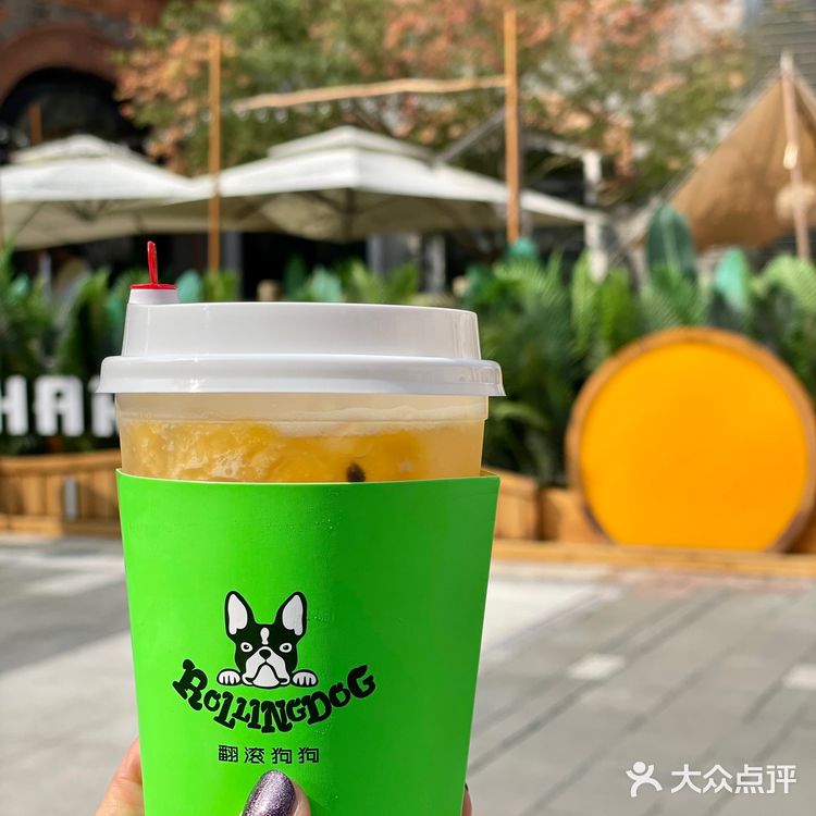 Rolling Dog 翻滚狗狗🐩魔都首家红茶面🍜