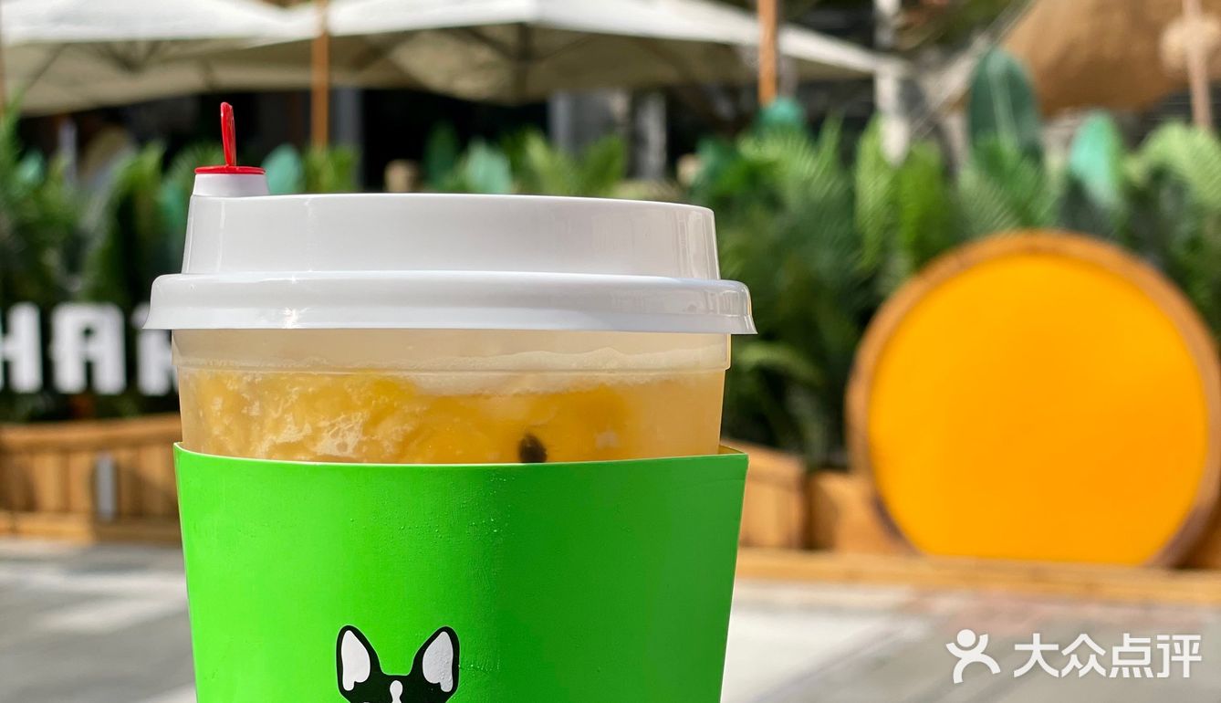 Rolling Dog 翻滚狗狗🐩魔都首家红茶面🍜