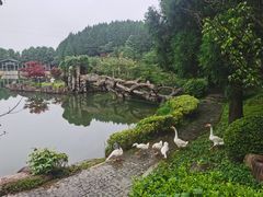-四明山国家森林公园