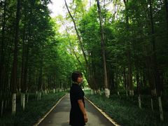 -桤木河湿地公园