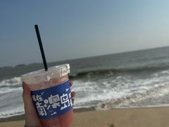 -南澳岛打卡果汁冰公司