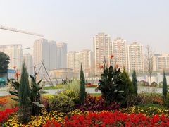 -木塔寺遗址生态公园
