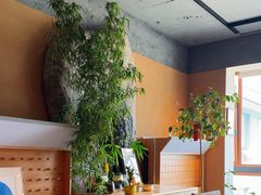 -云座·时光·观景咖啡厅(五爷庙店)