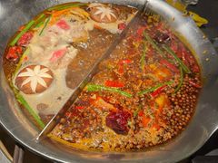 -湊湊火锅·茶憩(合生汇购物中心店)