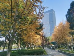 -后襄河公园