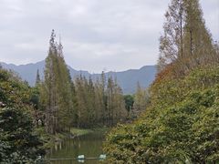 -田野绿世界