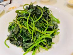 蒜茸炒蕃薯叶-南海渔村(珠江新城店)