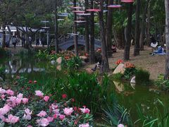 -人民公园(罗湖区)