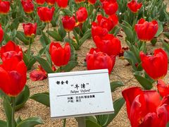 -江南大学(蠡湖校区)