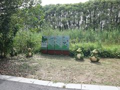 -同里国家湿地公园