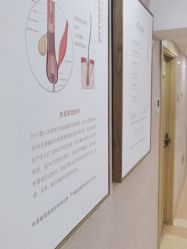 点击看大图 -熙朵美学植发连锁