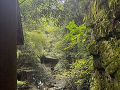 -藏龙百瀑风景区