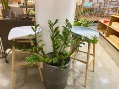 -隆延茶铺(学清路驹然店)