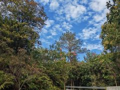 -广州白江湖森林公园