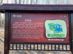 -大兴滨河森林公园