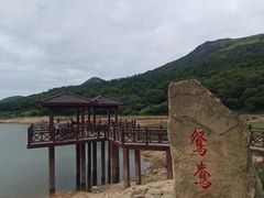 -大姆山草场