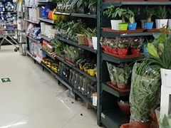 -物美(北沙滩店)