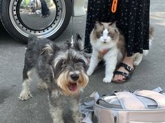 -一品烧农庄·佛山本地特色菜