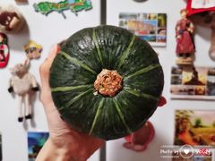 贝贝南瓜-七鲜超市(华宇时尚购物中心店)