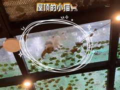 -MADO冰淇淋咖啡馆(淘金店)