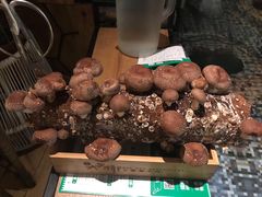 -大头椰·椰子鸡火锅(南宁万象城店)