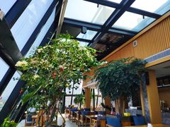 -四月吧餐厅(正阳步行街店)
