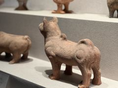 -四川宋瓷博物馆