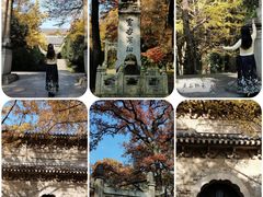 -灵谷景区