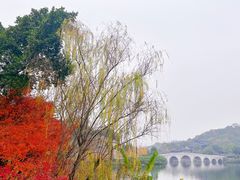 -重庆园博园