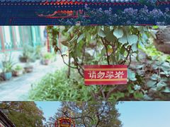 -白家大院·王府宫廷菜(苏州街店)
