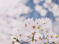 -龙美术馆(西岸馆)