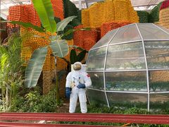 -兰陵国家农业公园