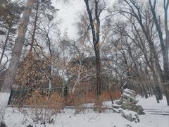 -黑龙江省森林植物园