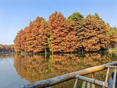 -尚湖风景区