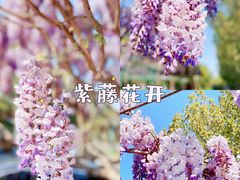 -北京京宝行宝马4S店(闵庄路店)