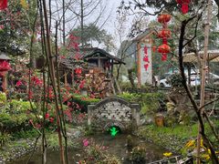 -青城甲(青城山店)