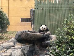 -成都动物园