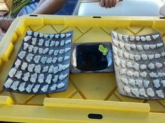 -斐济双桅帆船外岛一日游 浮潜 海钓 Tinhao号
