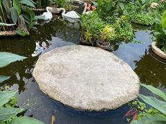 -富贵黄金屋