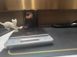 -香遇沙龙香水·调香·团建