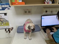 -芭比堂动物医院广州顽皮分院