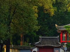 -四川大学(华西校区)