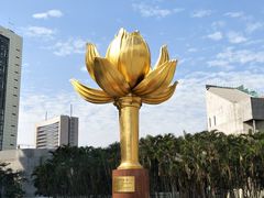 -金莲花广场